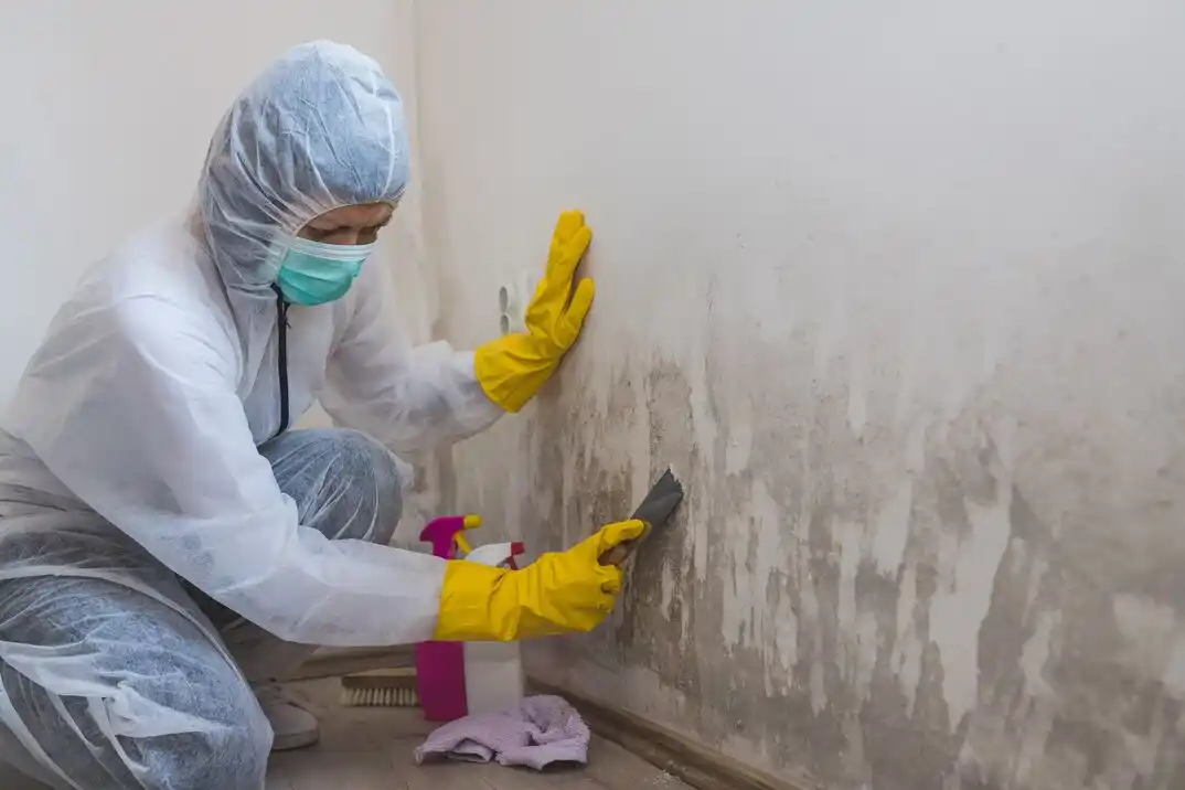 water damage restoration service Griffin Park